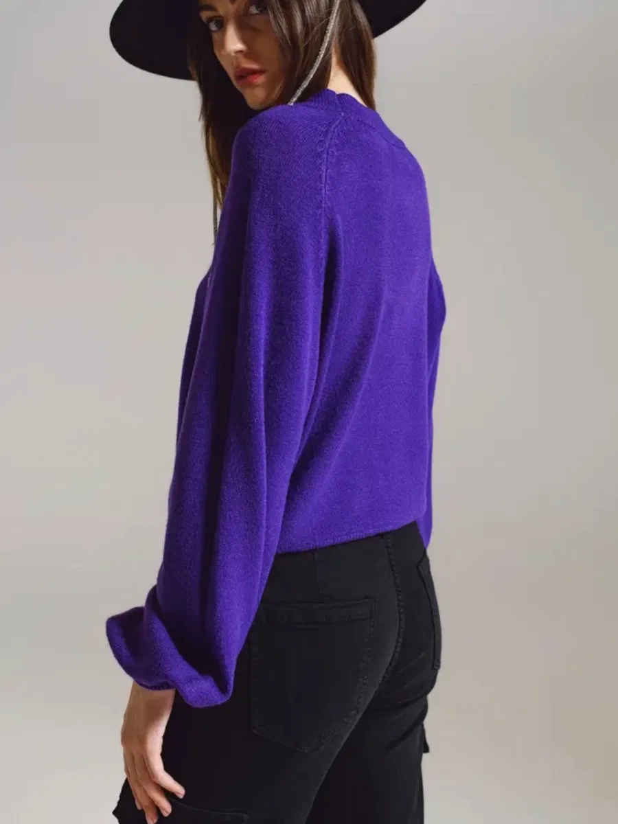 Visuel de Pull Violet vue 2